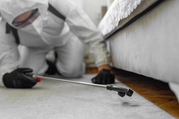 Professional Cockroach Control technician working in Dallesport, WA